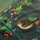 BIRDNET sieť na ochranu pred vtákmi 4x20m
