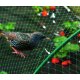 BIRDNET sieť na ochranu pred vtákmi 4x20m