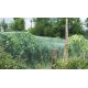 BIRDNET sieť na ochranu pred vtákmi 4x20m